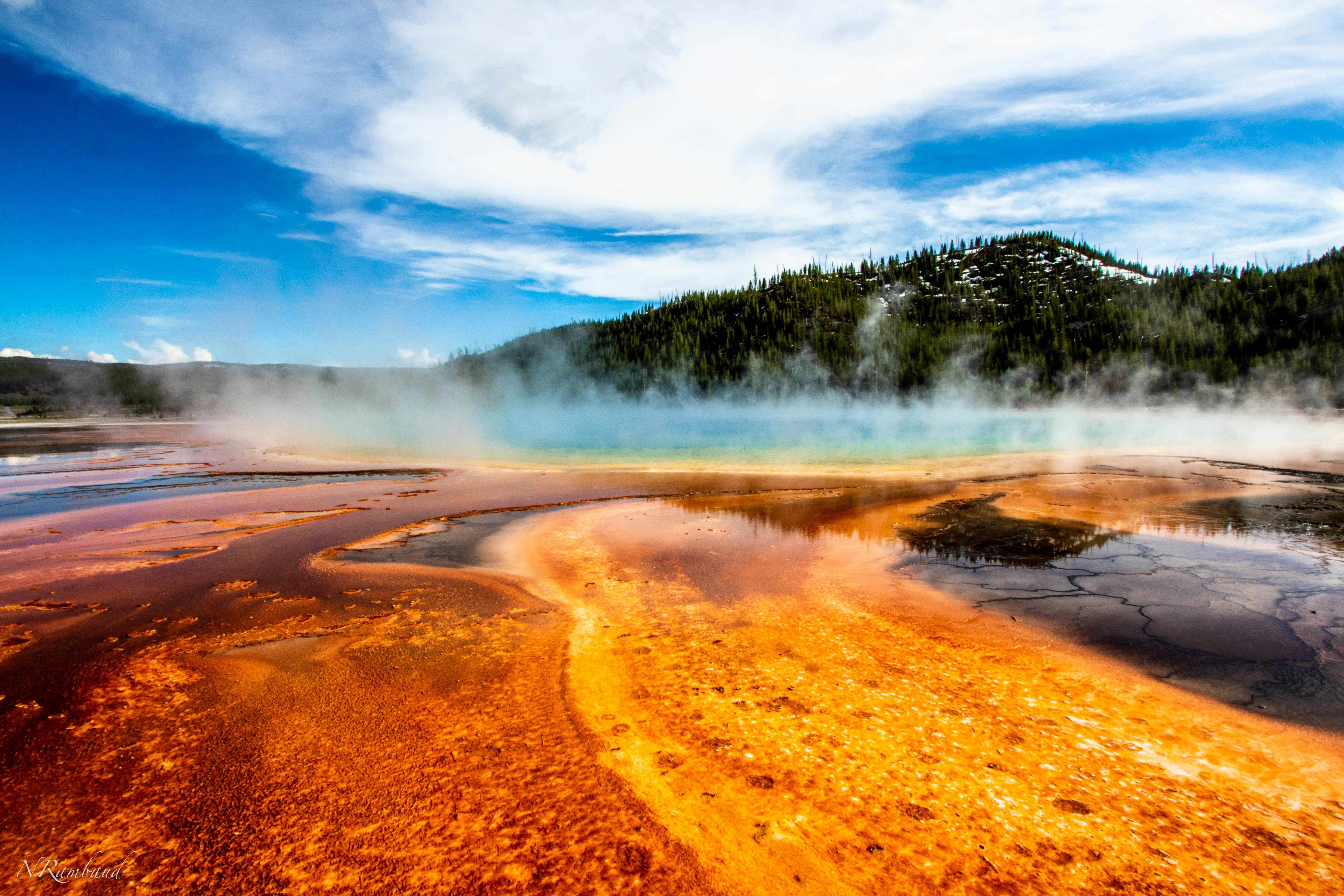 Steam drifts across orange microbial mats and blue thermal water beneath a forested Yellowstone hillside.