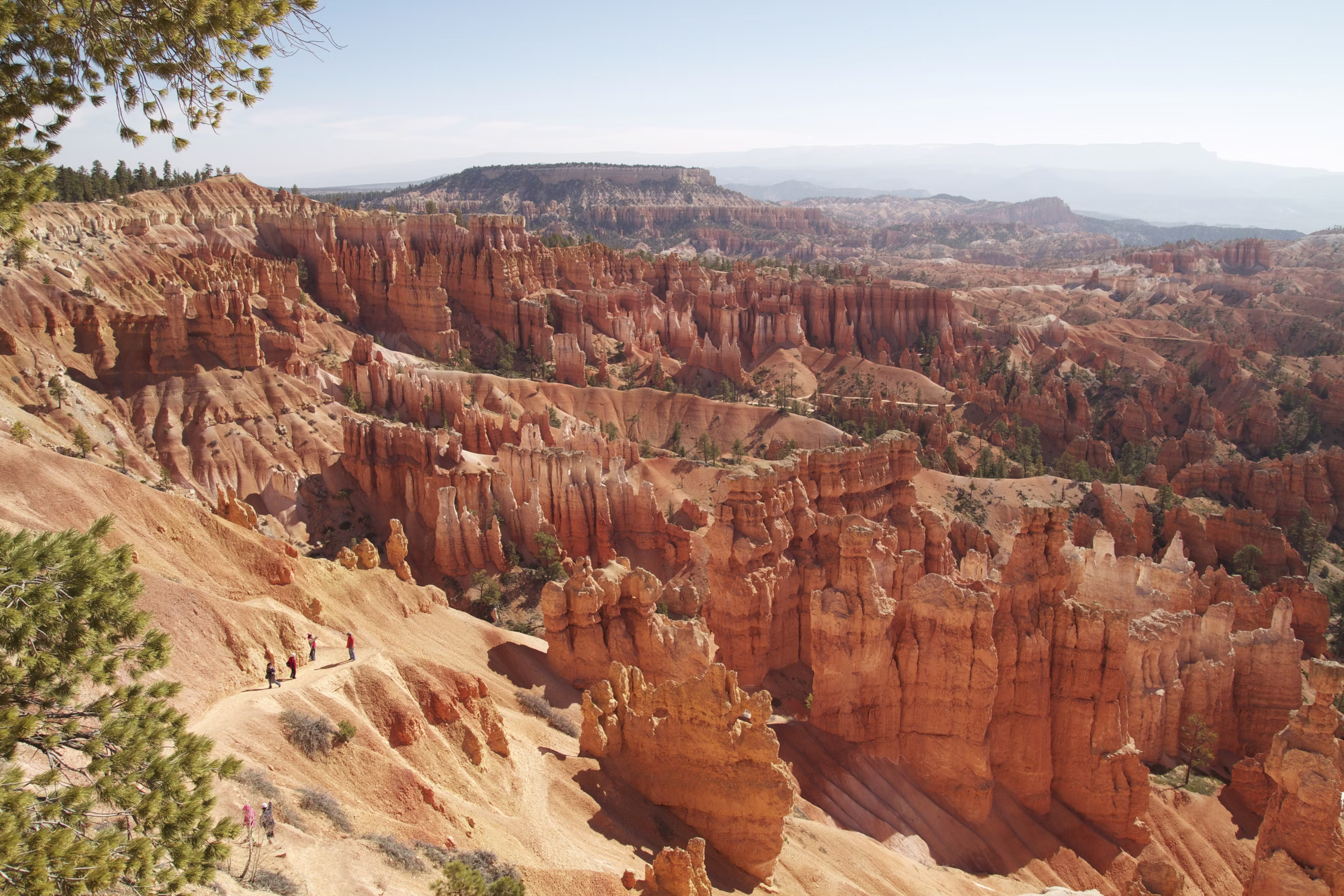A high overlook looks across Bryce Canyon's orange hoodoo amphitheater and pale ridgelines.